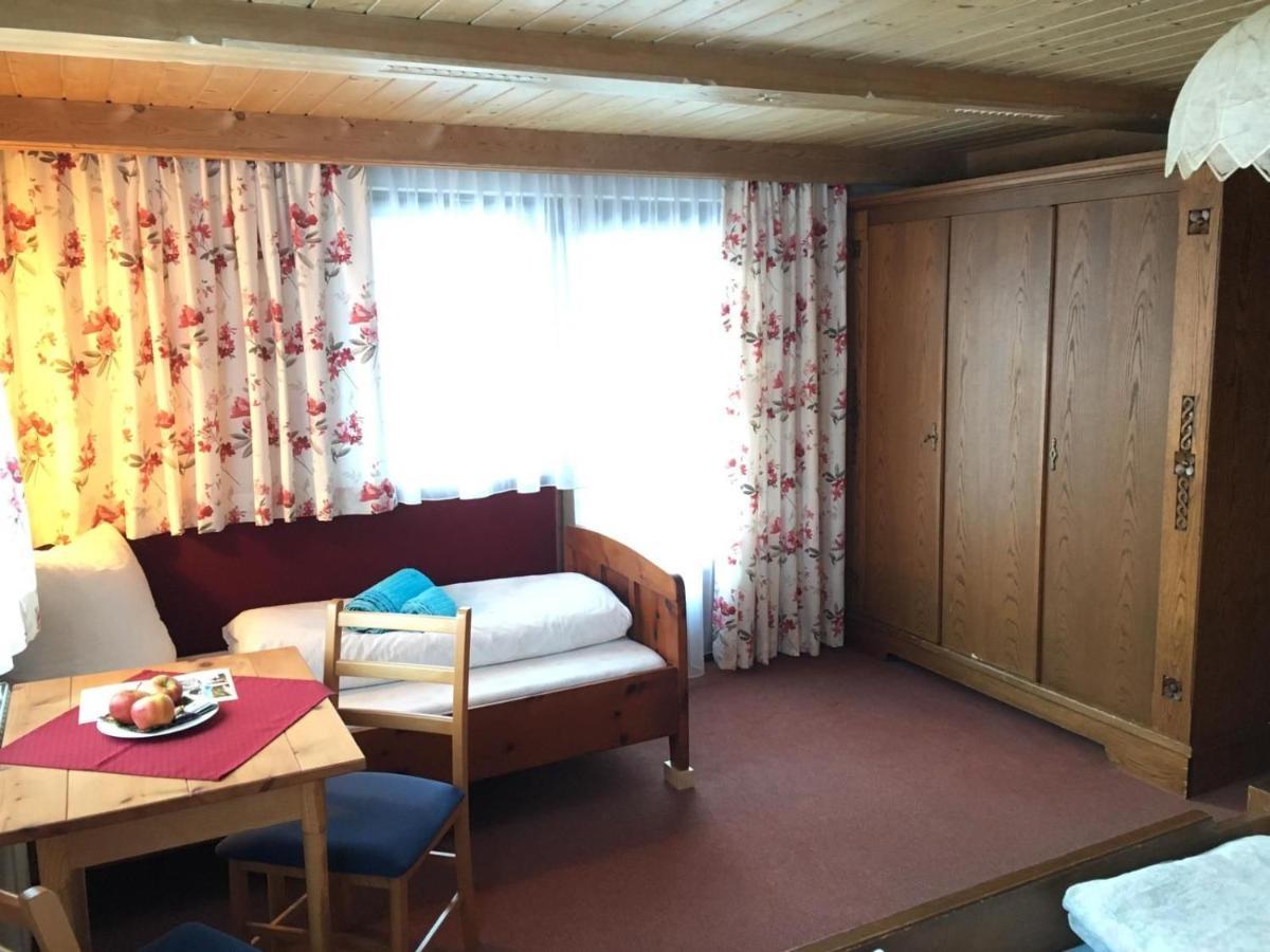 Mitterhaidgut Villa Hollersbach im Pinzgau Dış mekan fotoğraf