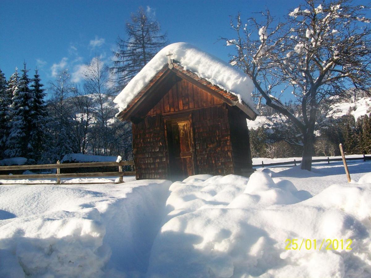 Mitterhaidgut Villa Hollersbach im Pinzgau Dış mekan fotoğraf