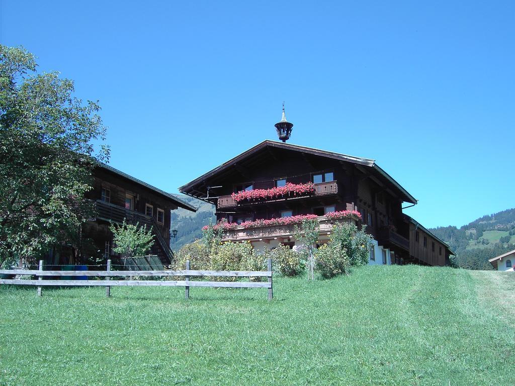 Mitterhaidgut Villa Hollersbach im Pinzgau Dış mekan fotoğraf