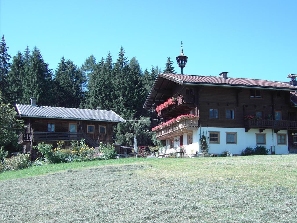 Mitterhaidgut Villa Hollersbach im Pinzgau Dış mekan fotoğraf