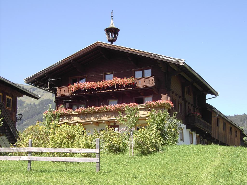 Mitterhaidgut Villa Hollersbach im Pinzgau Dış mekan fotoğraf
