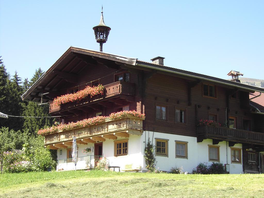Mitterhaidgut Villa Hollersbach im Pinzgau Dış mekan fotoğraf